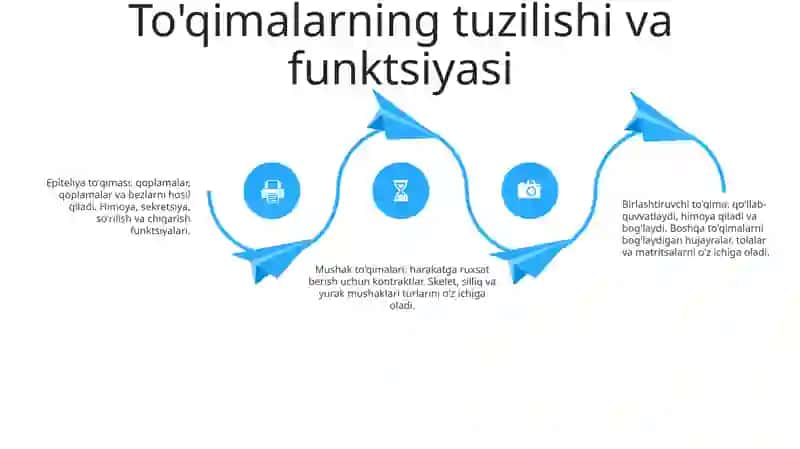 Tõqimalar Fiziologiyasi Va Regeneratsiyasi 3