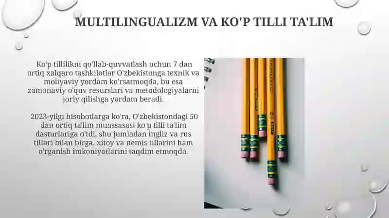 Multilingualizm va ko'p tilli ta'lim 3