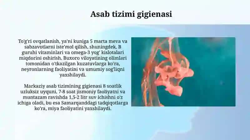 Markaziy nerv tizimining xususiy fiziologiyasi va gigiyenasi 3