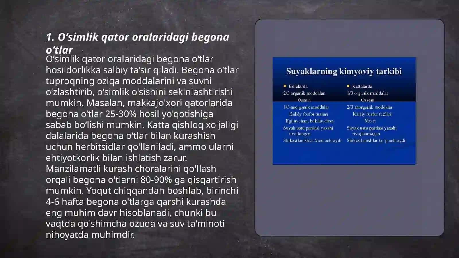 Oʻsimlik qator oralaridagi begona oʻtlarni yoʻqotishda mexanikaviy va kimyoviy usullarni birgalikda qoʻllash 3