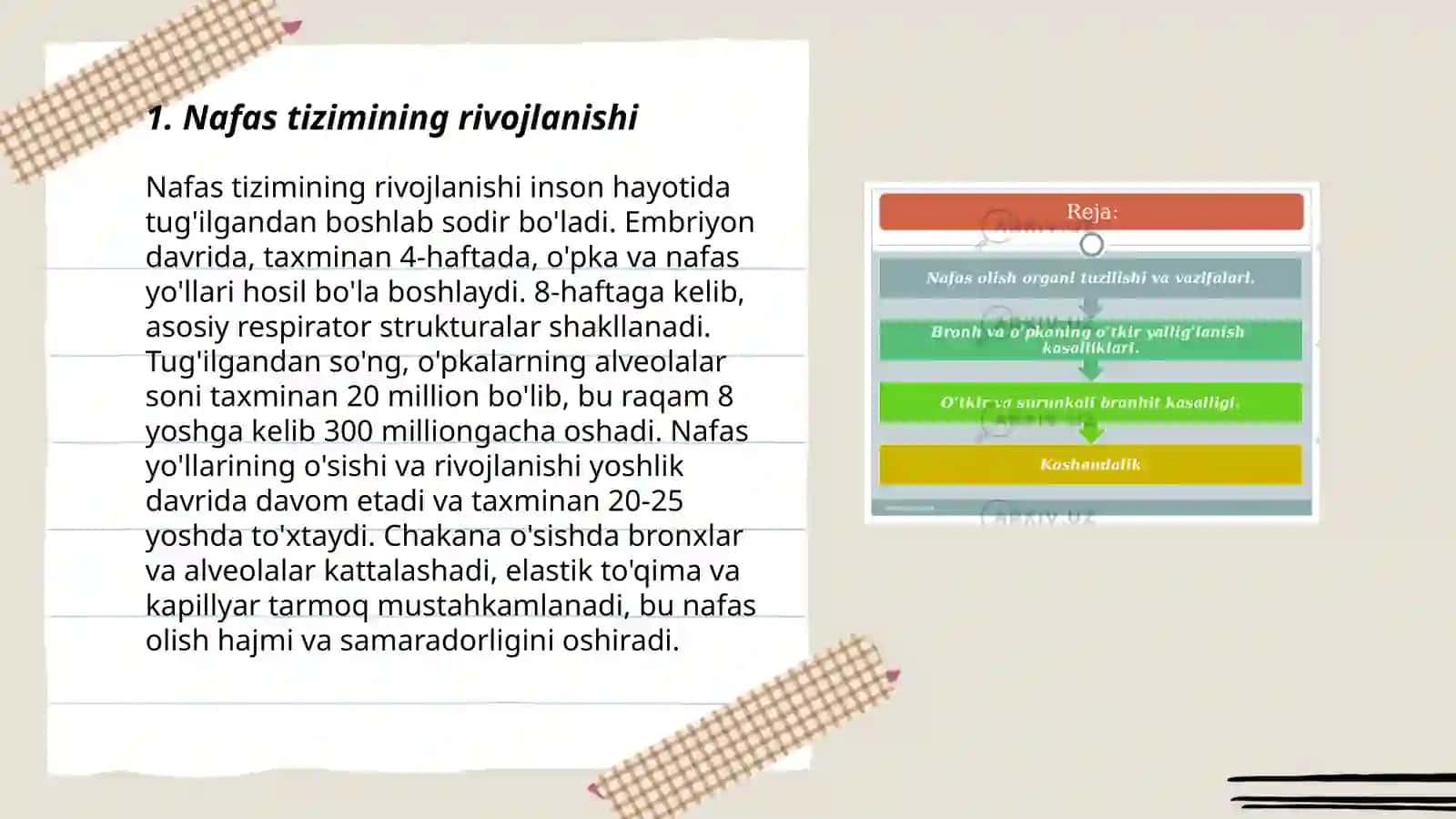 Nafas tizimining yoshga oid fiziologiyasi va gigiyenasi 3