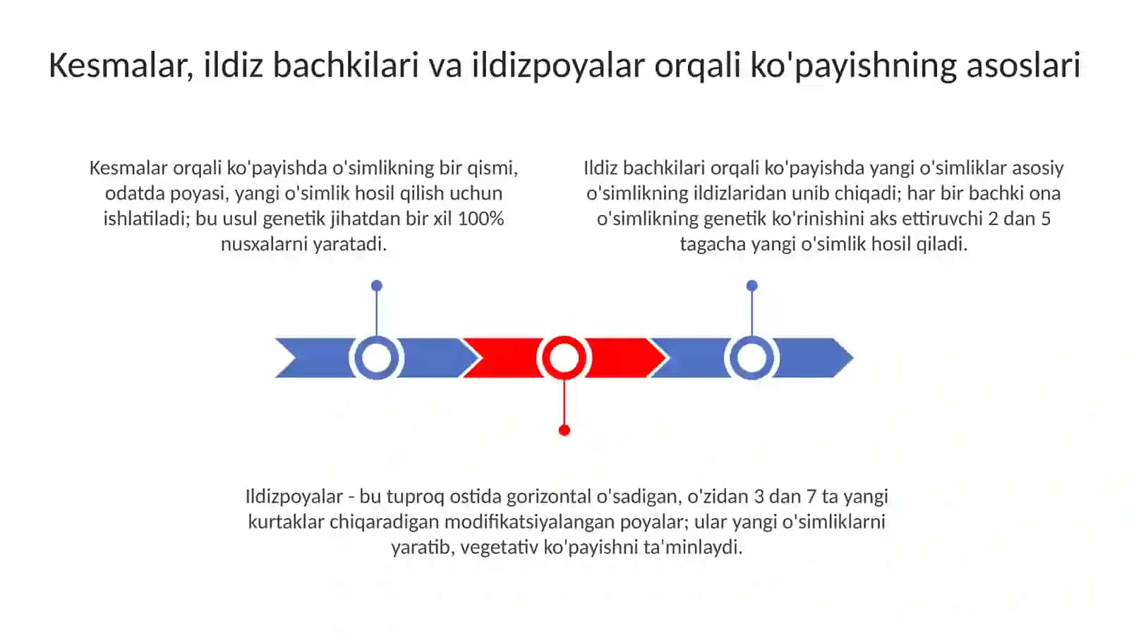 o‘simliklarning qalamchalar va ildizbachki va ildizpoyalar yordamida ko‘payuvchi o‘simliklar 3