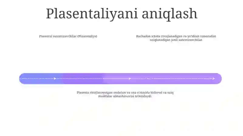 YoʻLdoshlilar (Placentalia) Sinfchasi 3