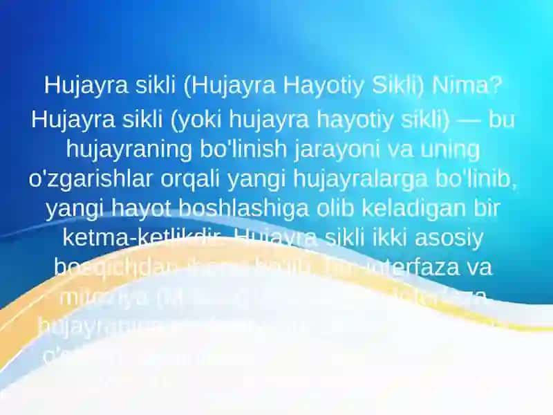 Hujayra sikli (Hujayra Hayotiy Sikli) 3
