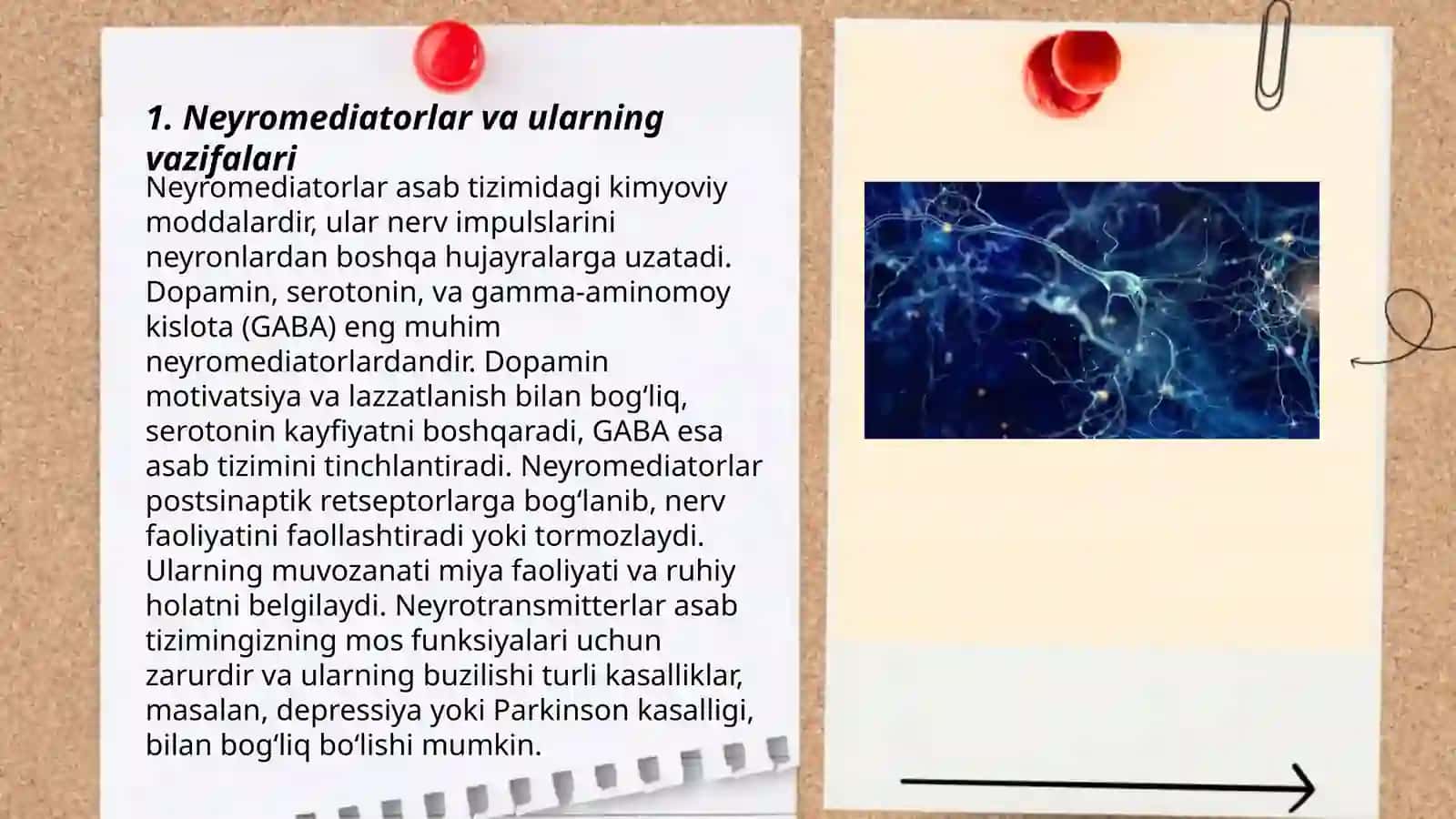 Neyromediatorlar biosintezi, ahamiyati va kasalliklari 3