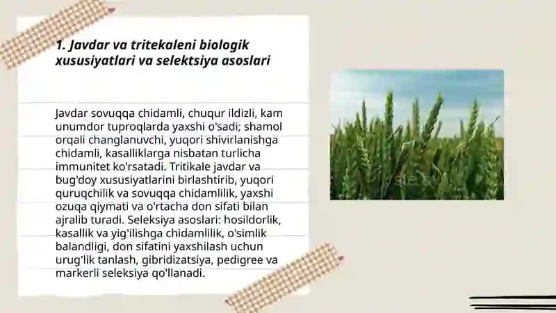 Javdar va tritekaleni yetishtirish texnologiyasi 3