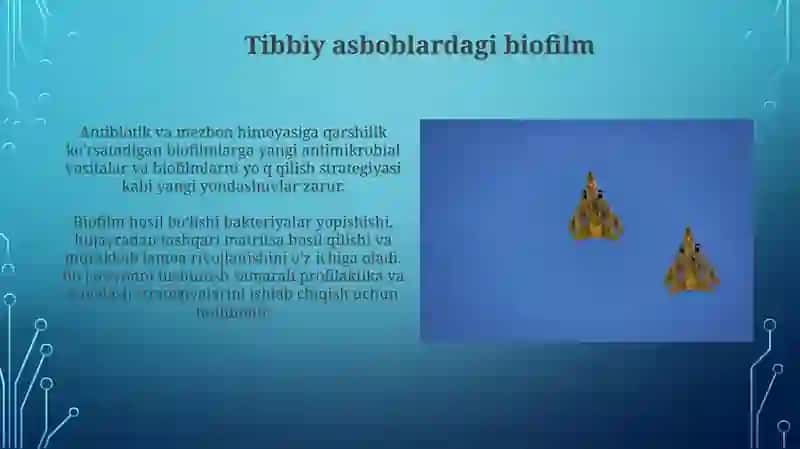 Bakteriyalarning bioplyonkasi hosil qilishi va uning praktik ahamiyati 3