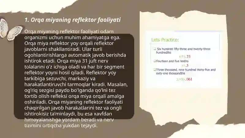 Orqa miyaning reflektor va oʻtkazuvchi yoʻl faoliyati, tekshirish usullari 3