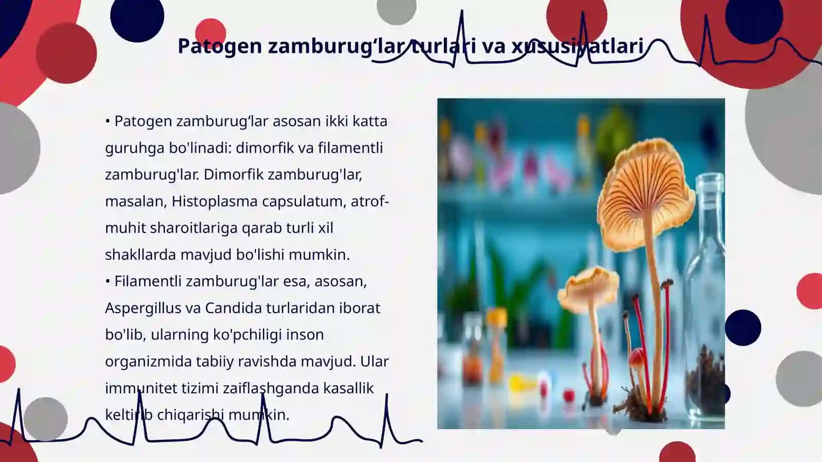 Patogen zamburugʻlar keltirib chiqaruvchi kasalliklar va ularning laboratoriya diagnostikasi 3