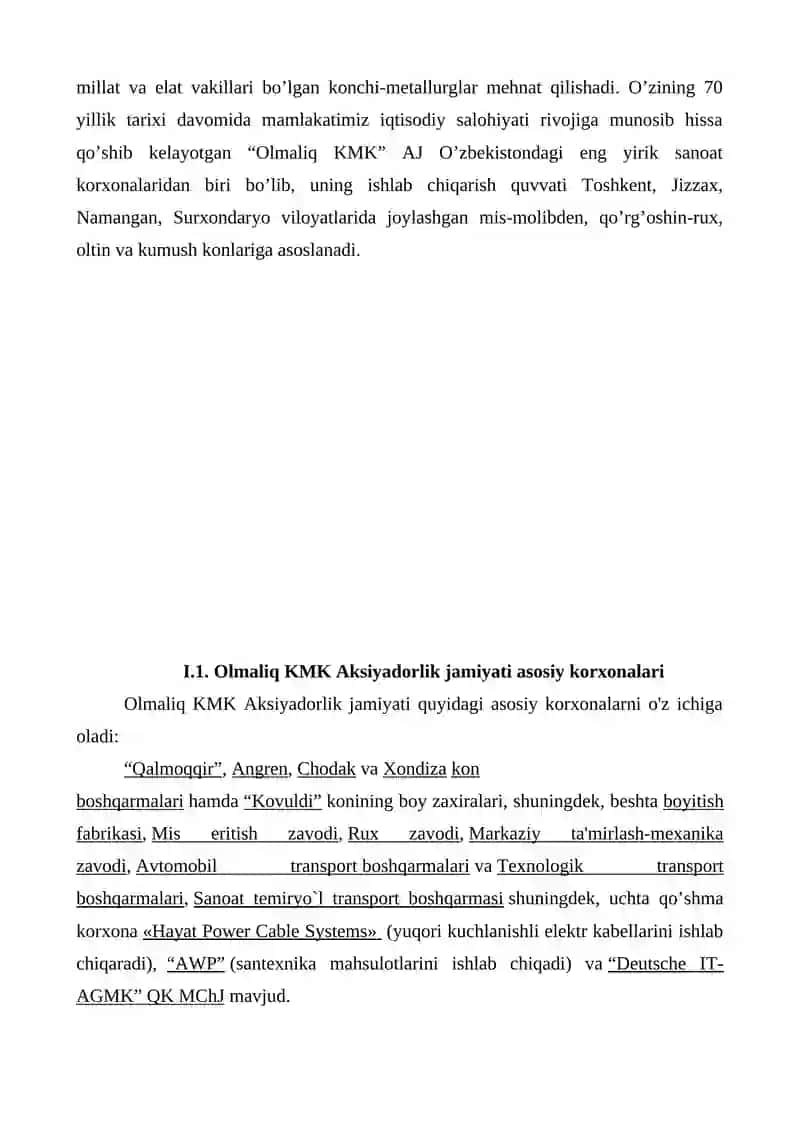 Kurs ishi "AGMK" AJ haqida umumiy malumot 3