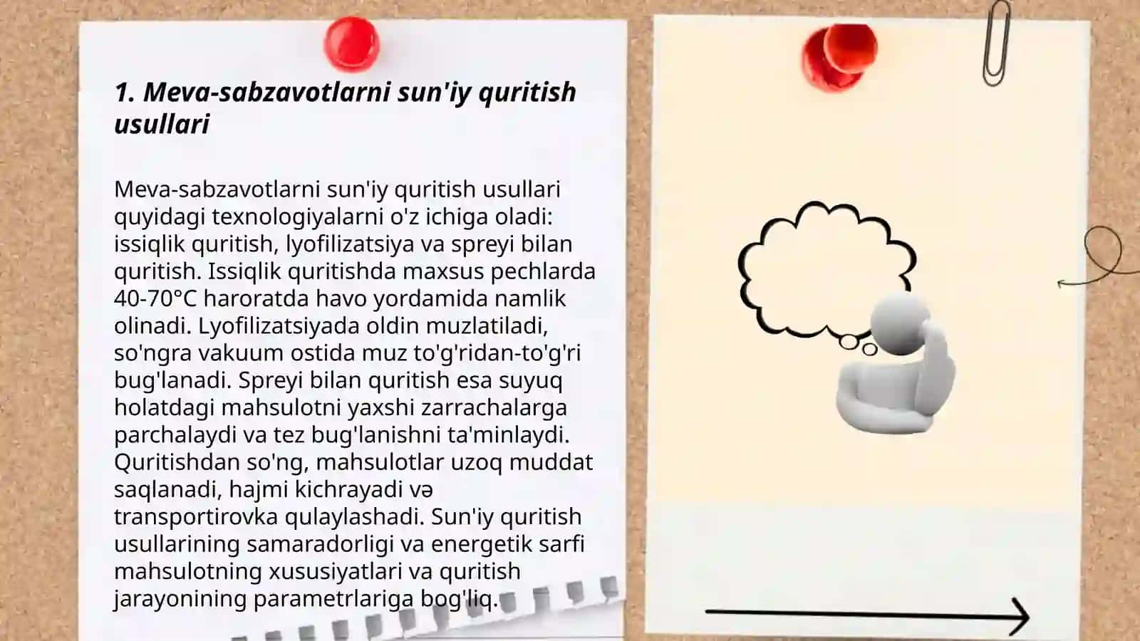 Meva-sabzavotlarni sun'iy quritish usullari 3