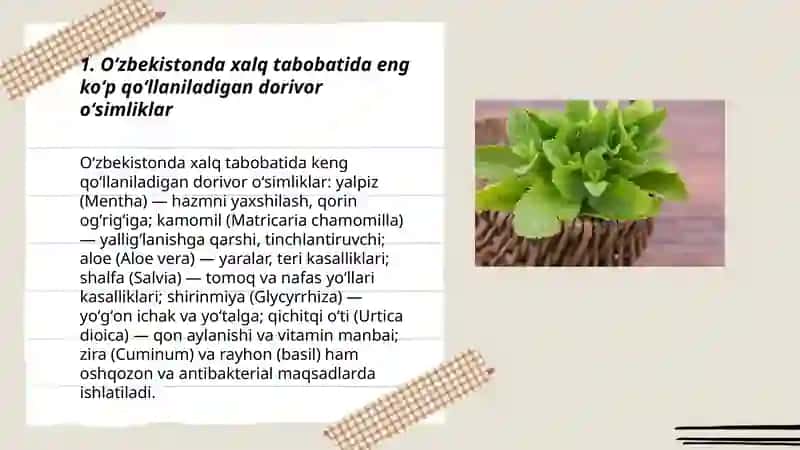 Xalq tabobatida va meditsinada qoʻllaniladigan dorivor oʻsimliklar 3