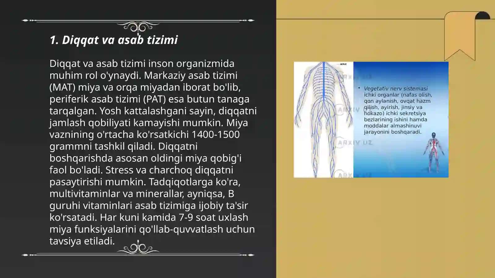 Diqqatning nerv-fiziologik asoslari 3