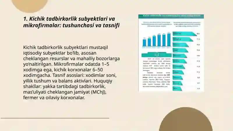 Kichik tadbirkorlik subyektlari va mikrofirmalarning huquqiy maqomi 3