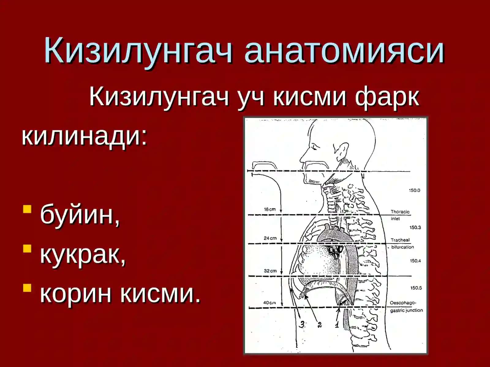 КИЗИЛУНГАЧ САРАТОНИ 3