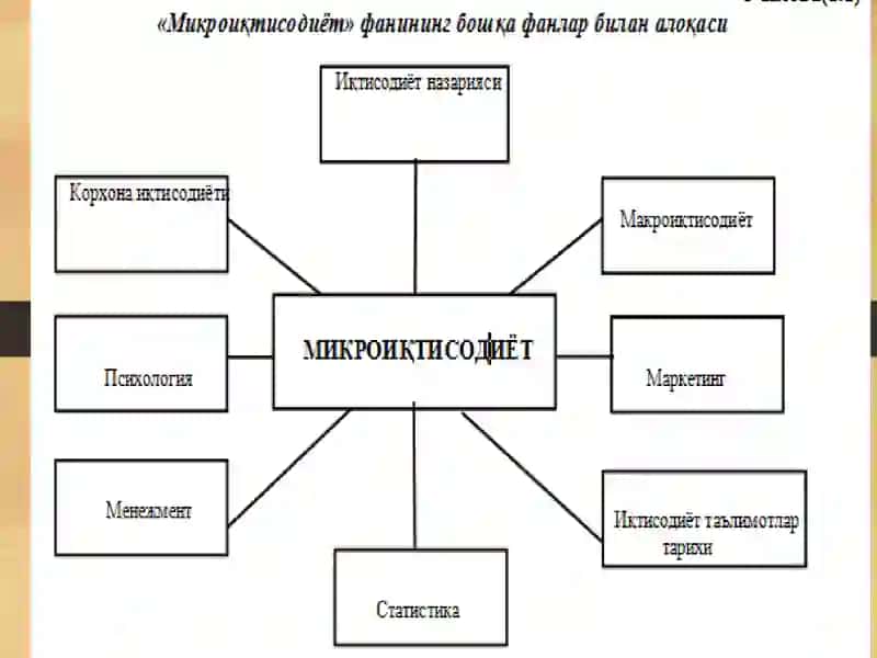 Iqtisodiy bazis tushunchalar 3