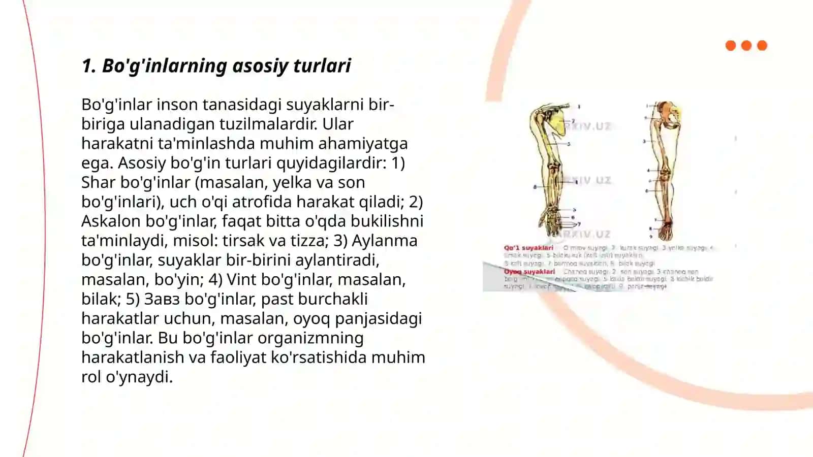 Suyaklarning birlashuvi, birlashmalarning tasniflanishi, Bogimlarning umumiy anatomiyasi 3