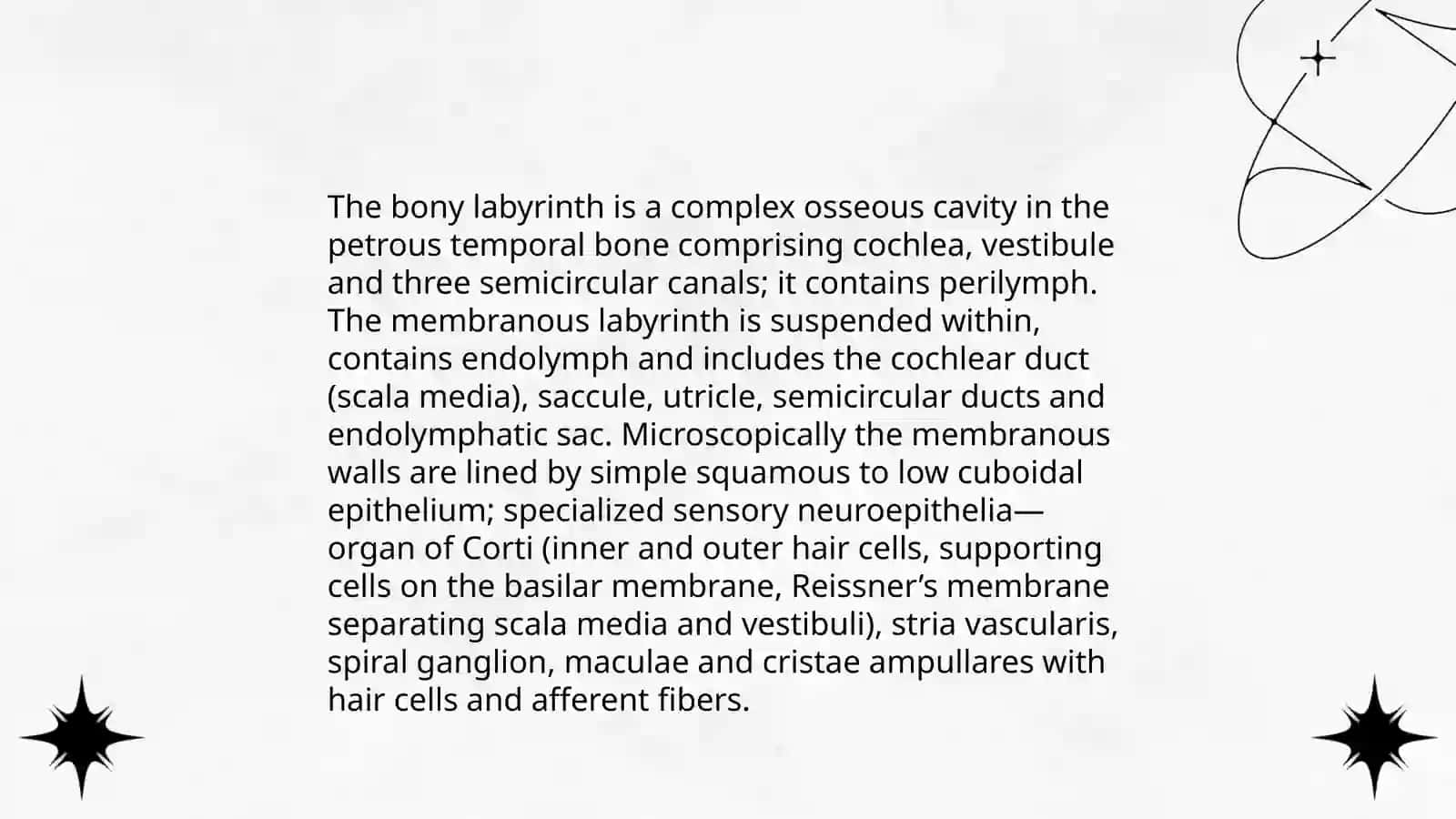 Histology of the organs of hearing and balance by Abdusamatova Sohiba 3