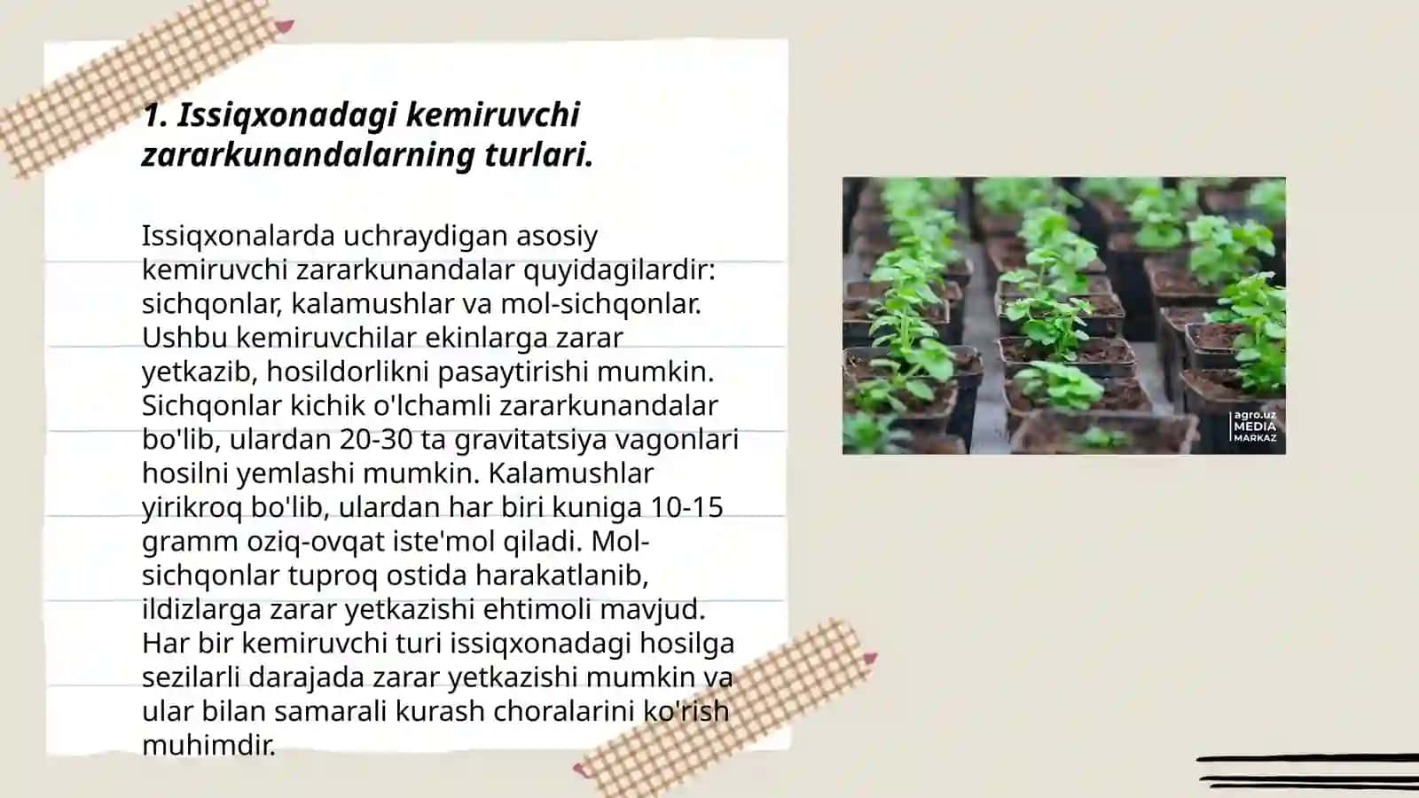 Issiqxonadagi sabzavot ekinlarining kemiruvchi zararkunandalari biologiyasi 3
