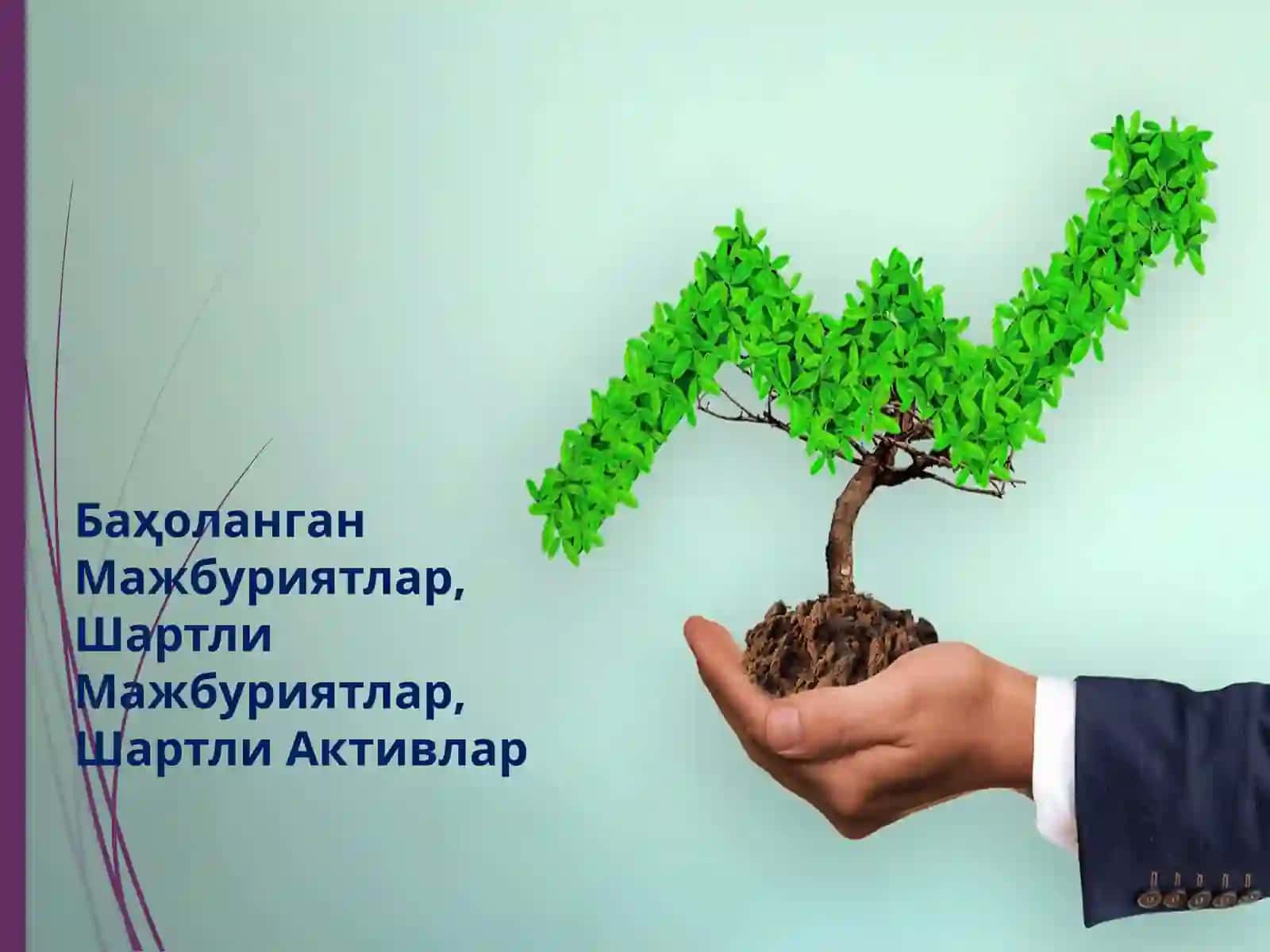 МОЛИЯВИЙ БЎЛМАГАН МАЖБУРИЯТЛАР ҲИСОБИНИ ТАВСИФЛОВЧИ СТАНДАРТЛАР 3