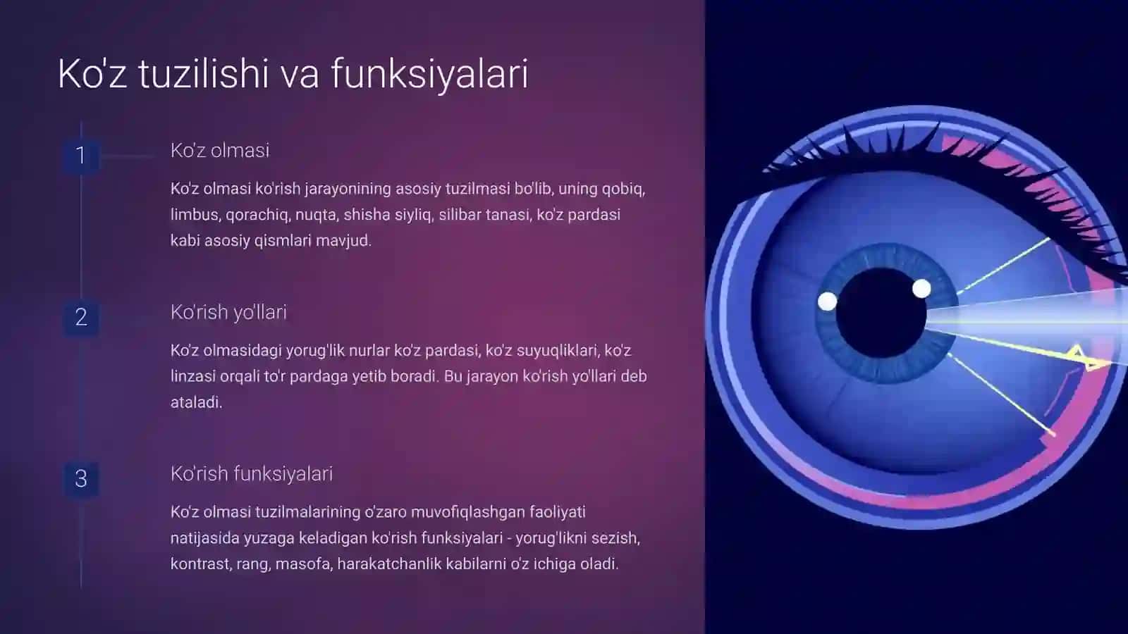 Fotoresepsiyaning morfologik asoslari 3