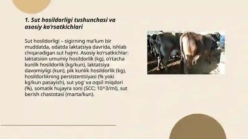 Sigirlarni sut mahsuldorligini hisoblash va baholash 3