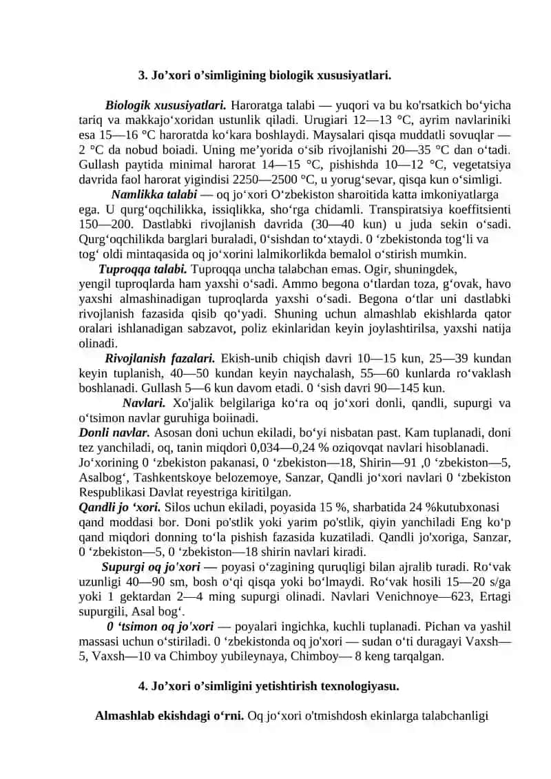 Jo’xori o’simligi va uni yetishtirish agrotexnikasi 3