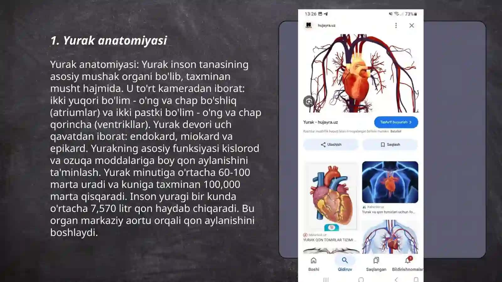 Yurakning ishlash mexanizmi va boshqarilishi 3