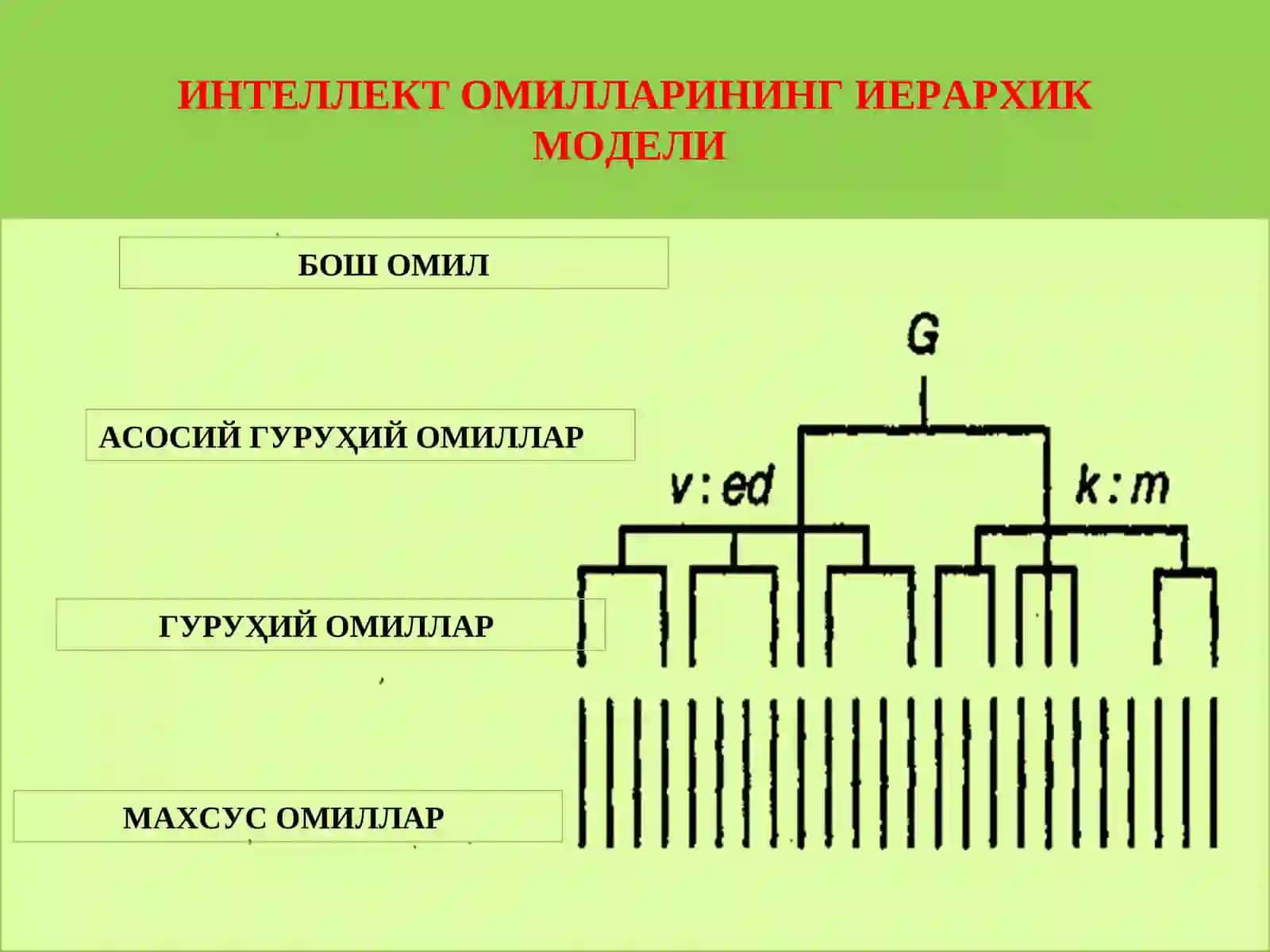 Дж.Равен методикаси. Интеллект моделлари 3
