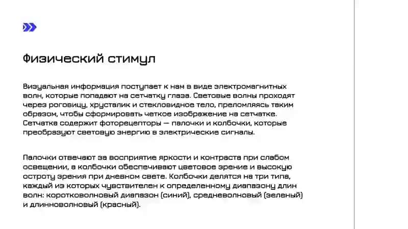 ЗРИТЕЛЬНАЯ ПЕРЦЕПЦИЯ 3