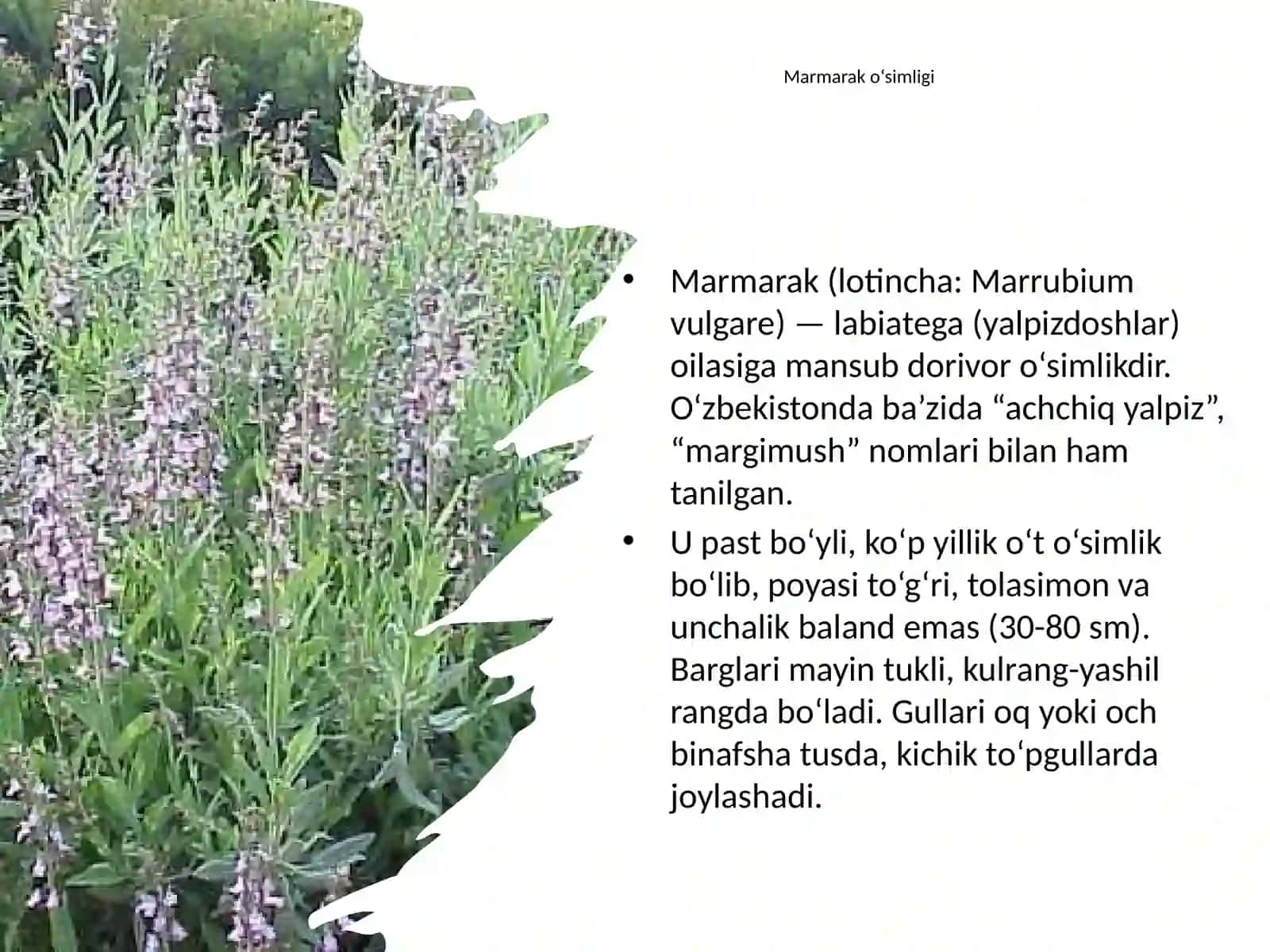 Dalachoydoshlar oilasi turlari: Biologiyasi, Ekologiyasi, Areali va Xalq xoʻjaligidagi ahamiyati 3
