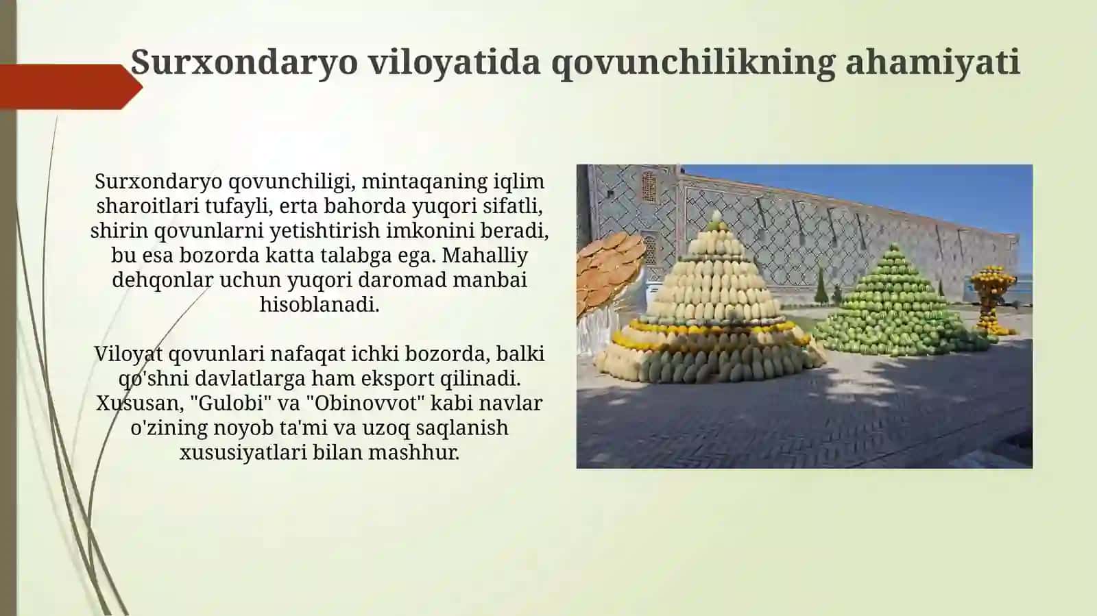 Qovun navlari va Surxondaryoda yetishtirish texnologiyasi 3
