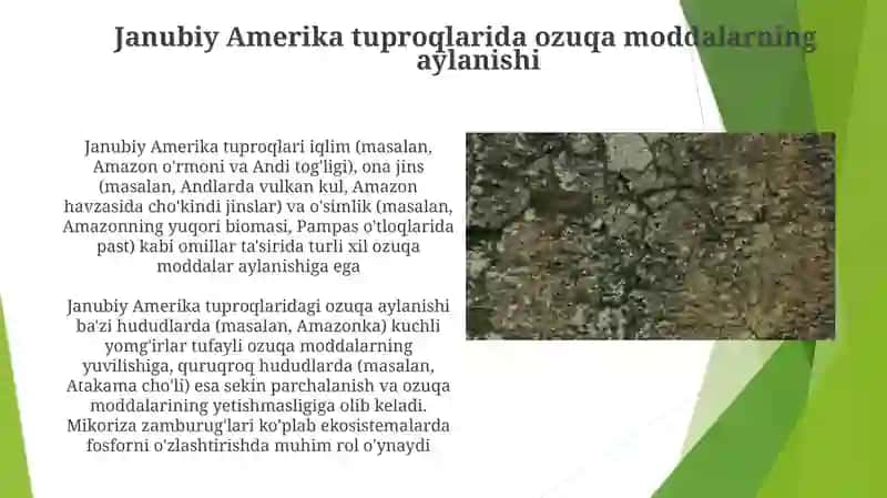 Janubiy Amerika tuproqlari 3