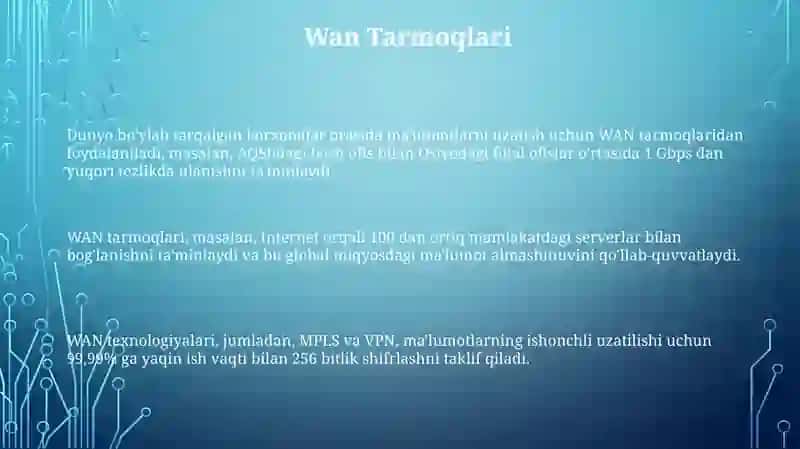 WAN tarmoqlar haqida ma'lumot 3