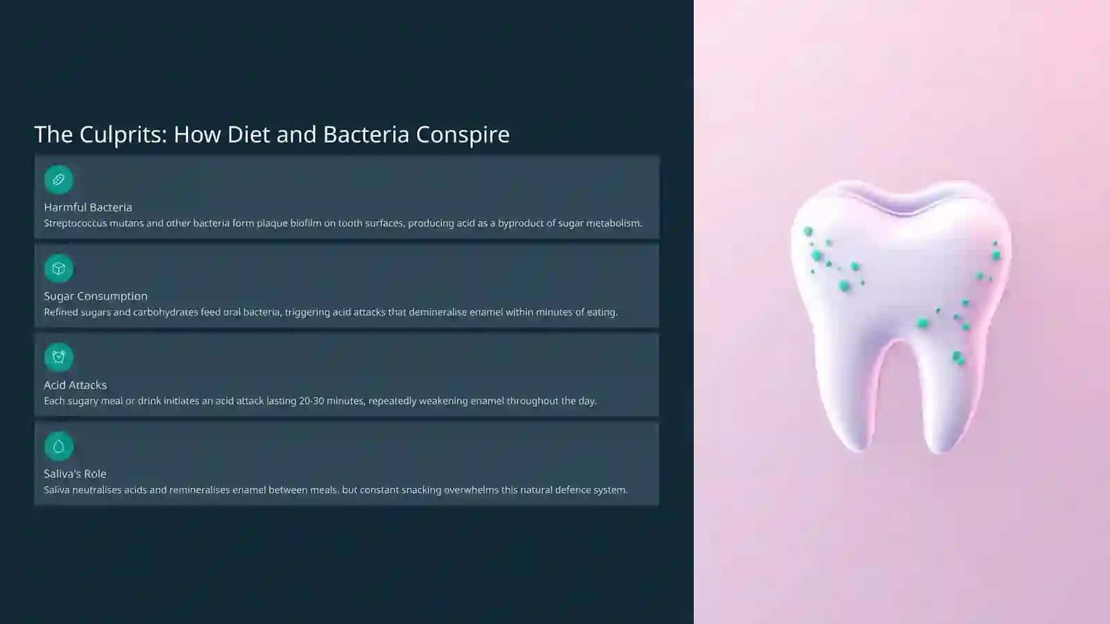 Understanding Caries Cavity: From Formation to Prevention 3