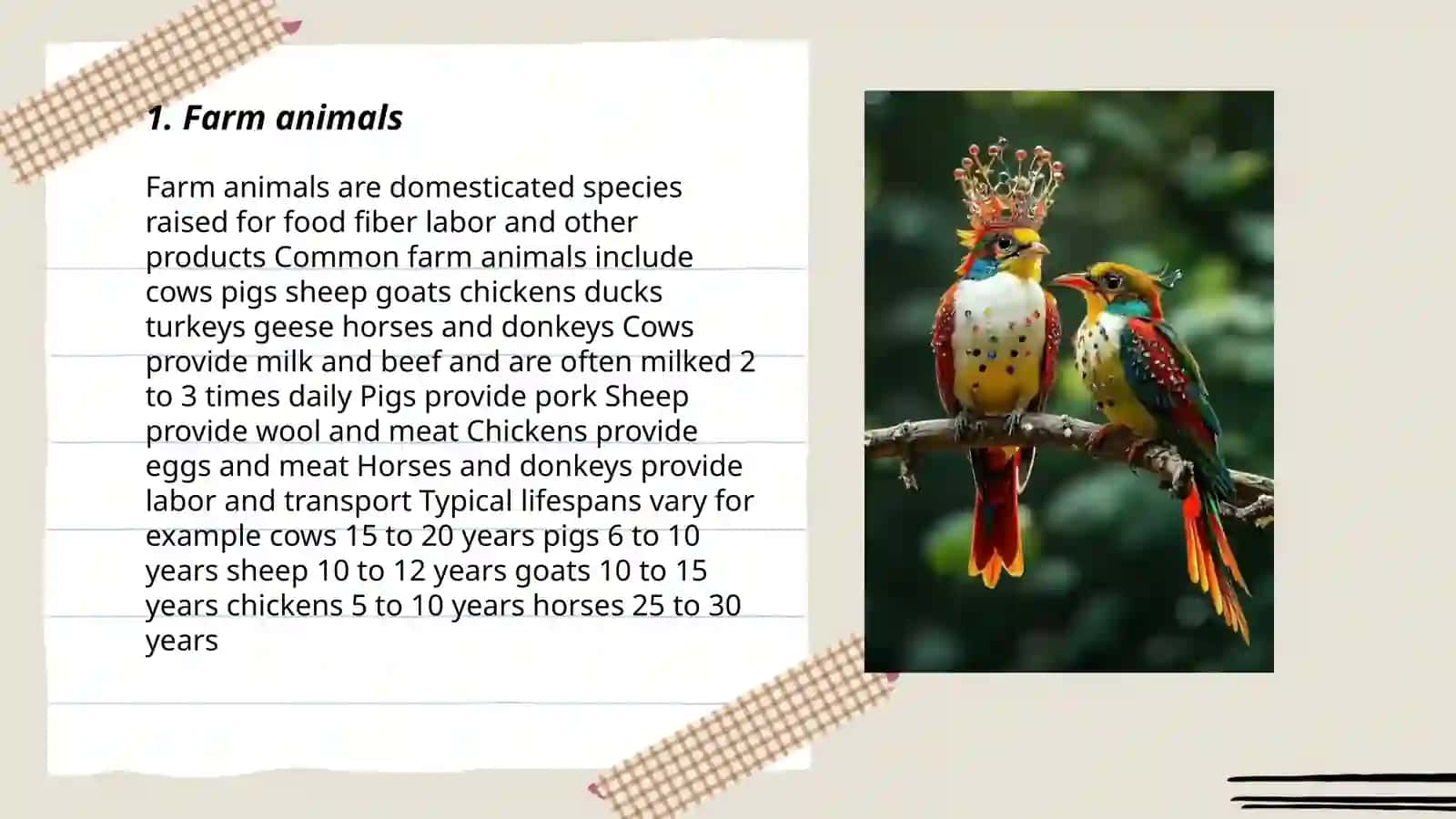 Animals and birds 3