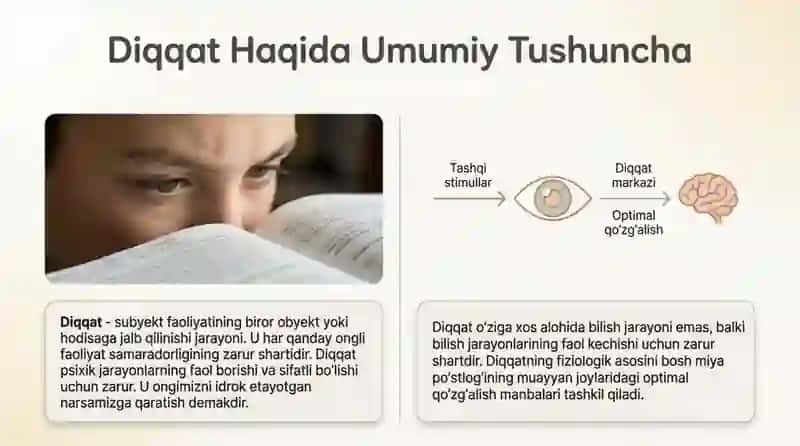 Diqqatning boshqa psixik hodisa va jarayonlarni taqqoslash 3