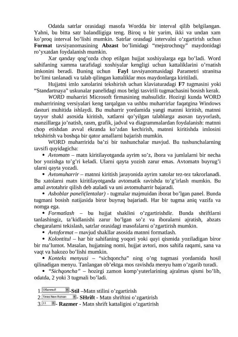 Microsoft Word 3