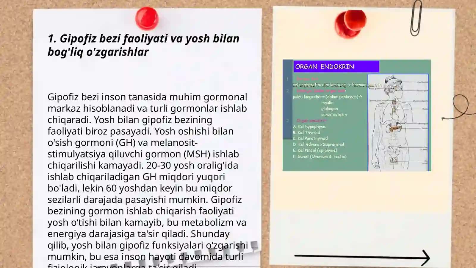 Ichki sekretsiya bezlarining yosh xususiyati va endokrin kasalliklar 3