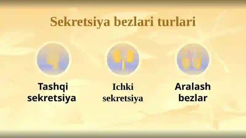 SEKRETSIYABEZLARI 3