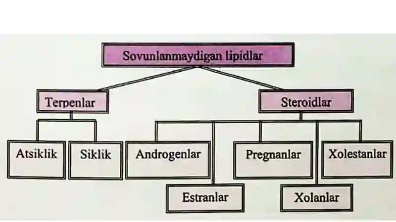 Sovunlanmaydigan lipidlar 3