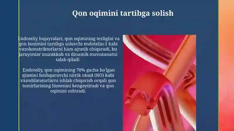 Qon tomirlar endoteliysining funksiyalari 3