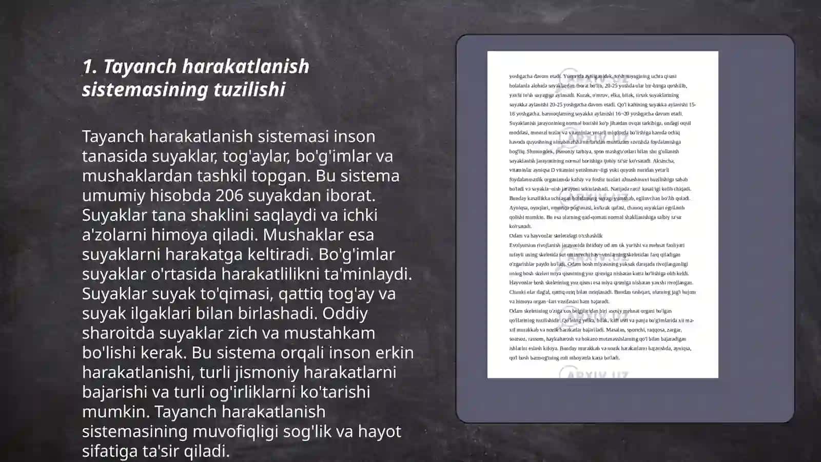 Tayanch harakatlanish sistemasi 3