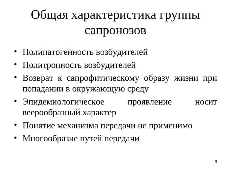 Эпидемиология и профилактика сапронозов 3