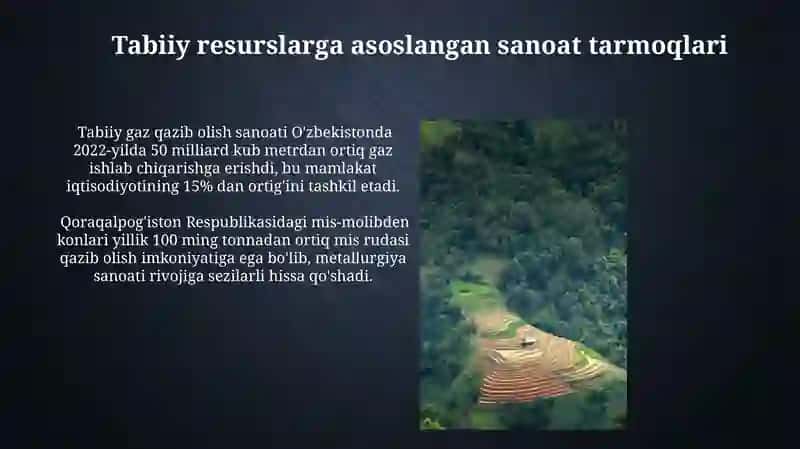 Tabiiy Boyliklarning Cheklanganligi va Barqaror Iqtisodiy O'sish 3