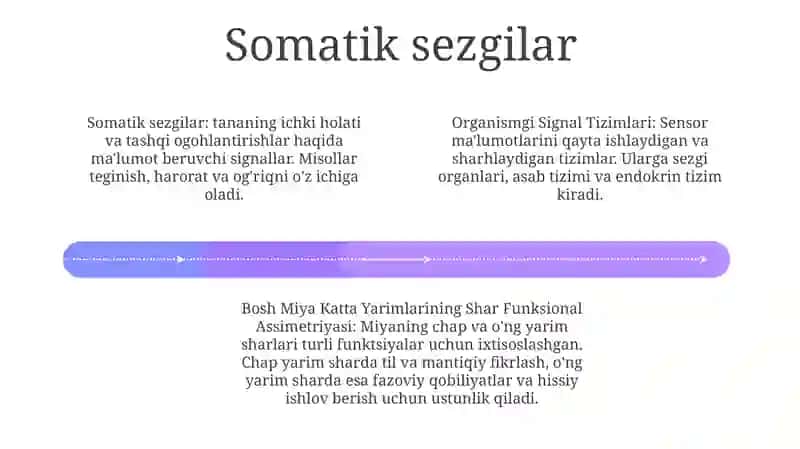 Organizmgi Signal Tizimlari. Bosh Miya Katta Yarim Sharlarining Funksional Assimetriyasi 3