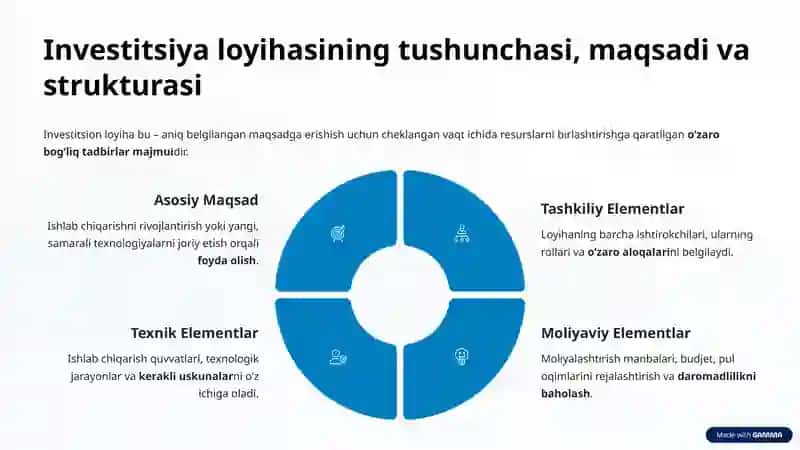 Investitsion loyihani boshqarish asoslari va konsepsiyasi 3