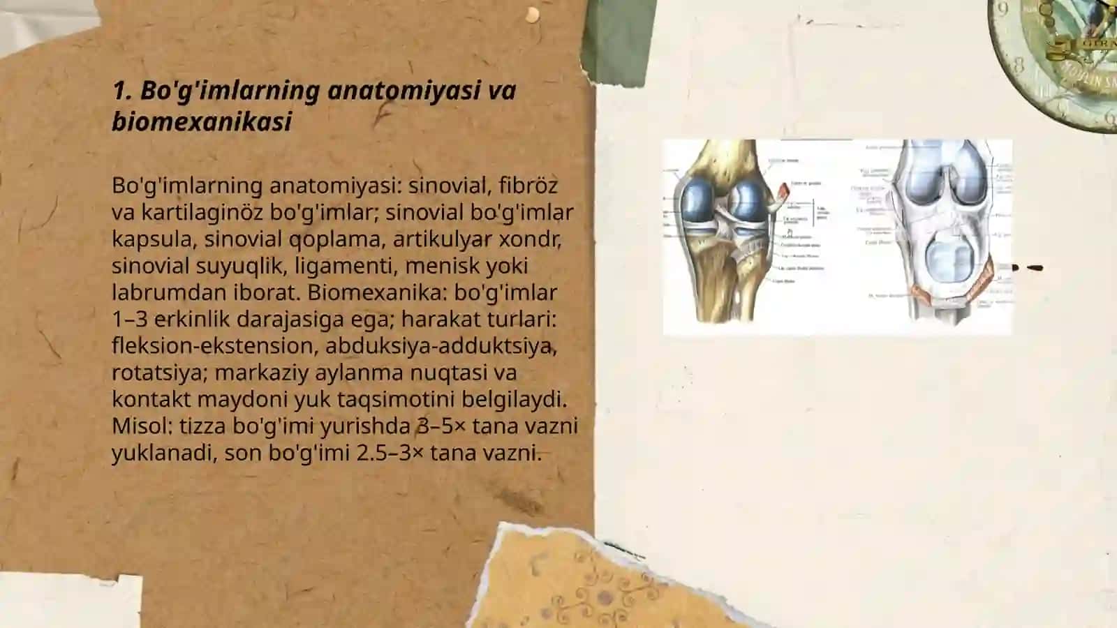 Bo'g'imlar biomexanikasi 3