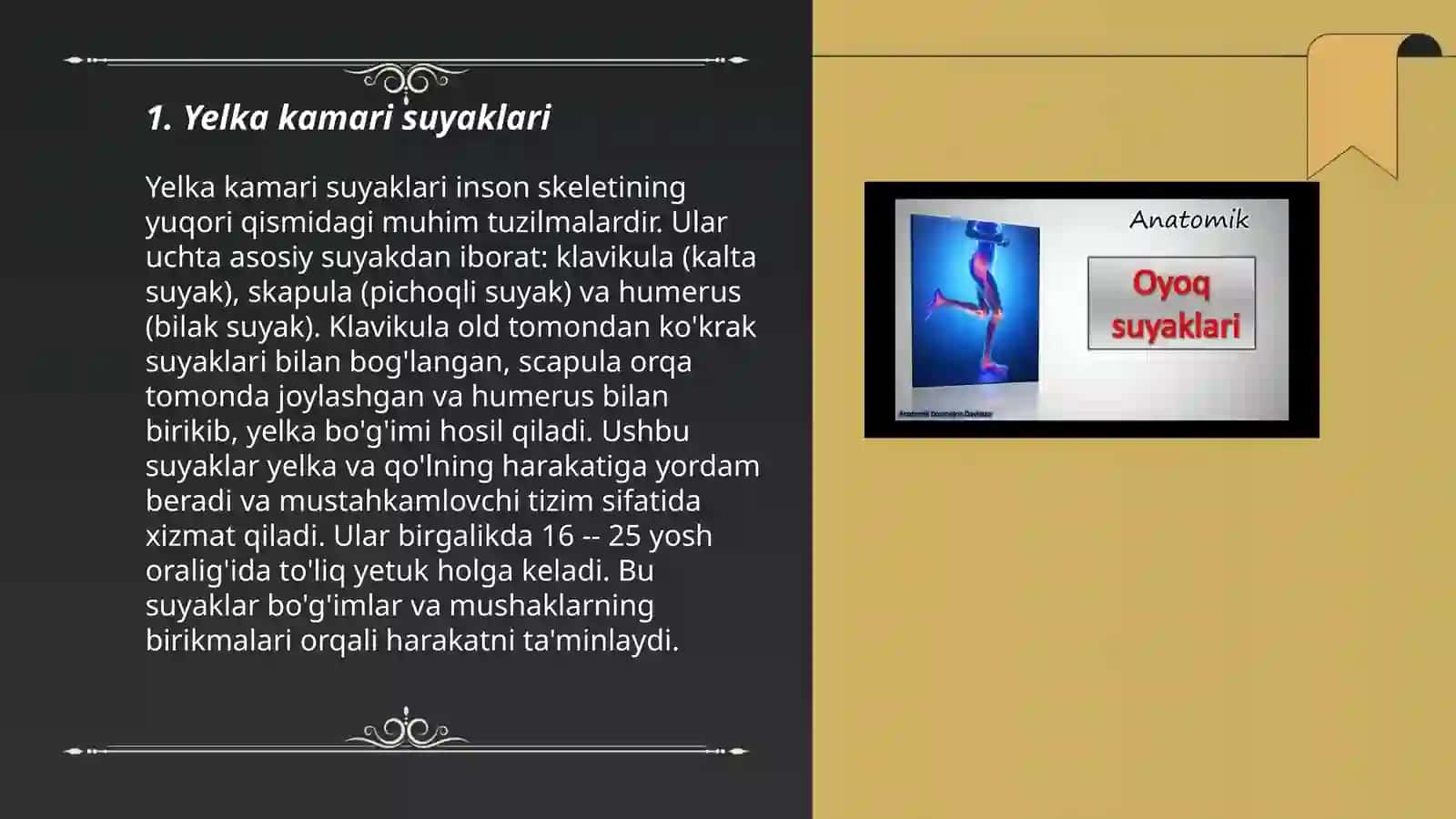 Yelka kmari va qol chanoq kamari va oyoq erkin qismi suyaklari birlashuvi,harakat oqlari va shakli 3