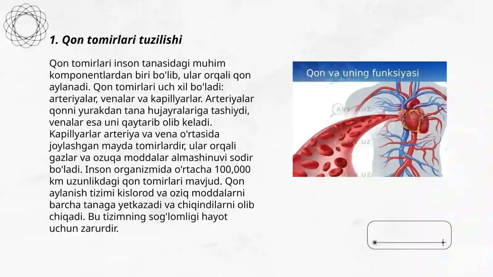 Qon tomirlari orqali moddalar almashinuvining biofizikaviy mexanizmi 3